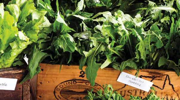 Eat more plants