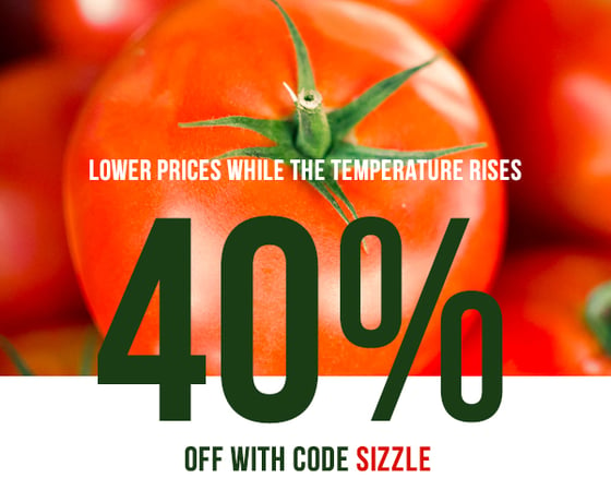 Save 40% with code SIZZLE