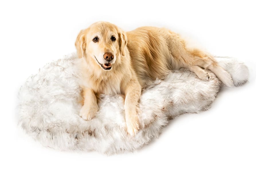 Dog Rug From Lara's Obsessed-With-List Winter 2020