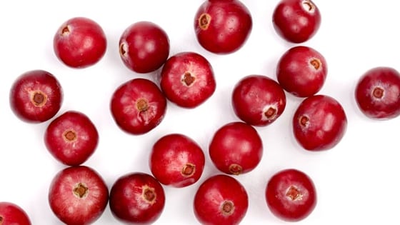 mbb_cranberries_inset_nataly-studio_87-web