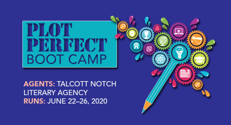 plot_perfect_boot_camp-2