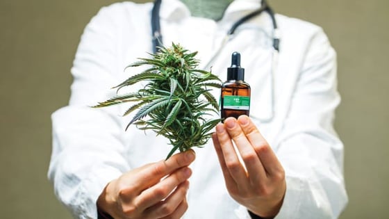 CBD for Colon Cancer